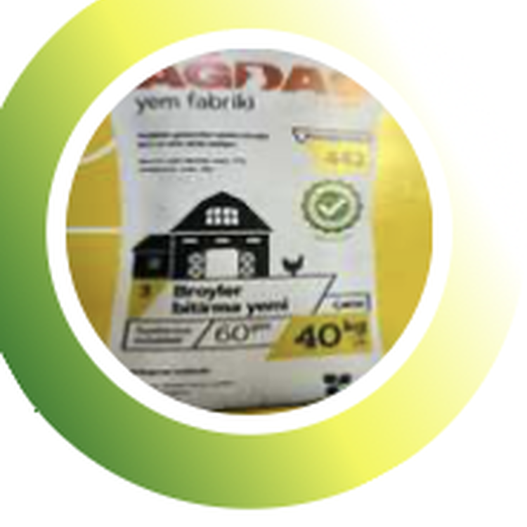 Boiler Finishing Feed 3