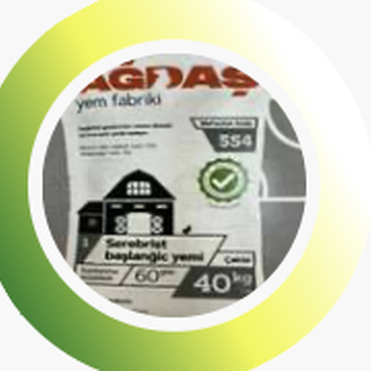 Cerebrist Growth Feed 3