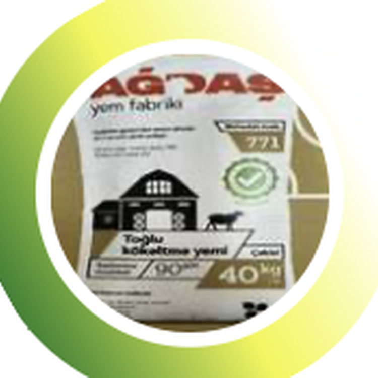 Sheep fattening Feed